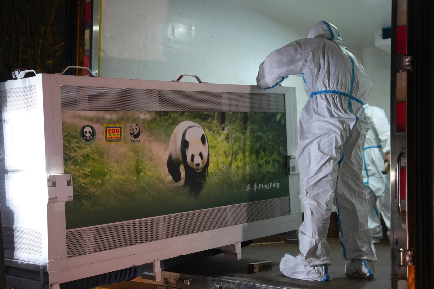 2 giant pandas set off to Atlanta zoo from China after Xi-Trump summit | iNFOnews.ca