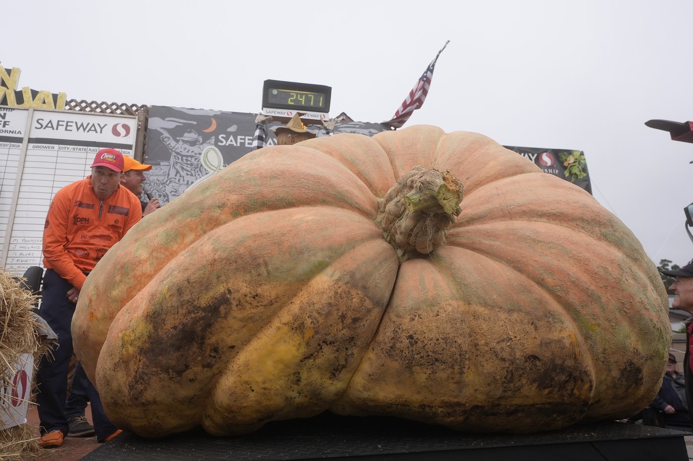Pumpkin weighing 2,471 pounds wins California contest | iNFOnews.ca