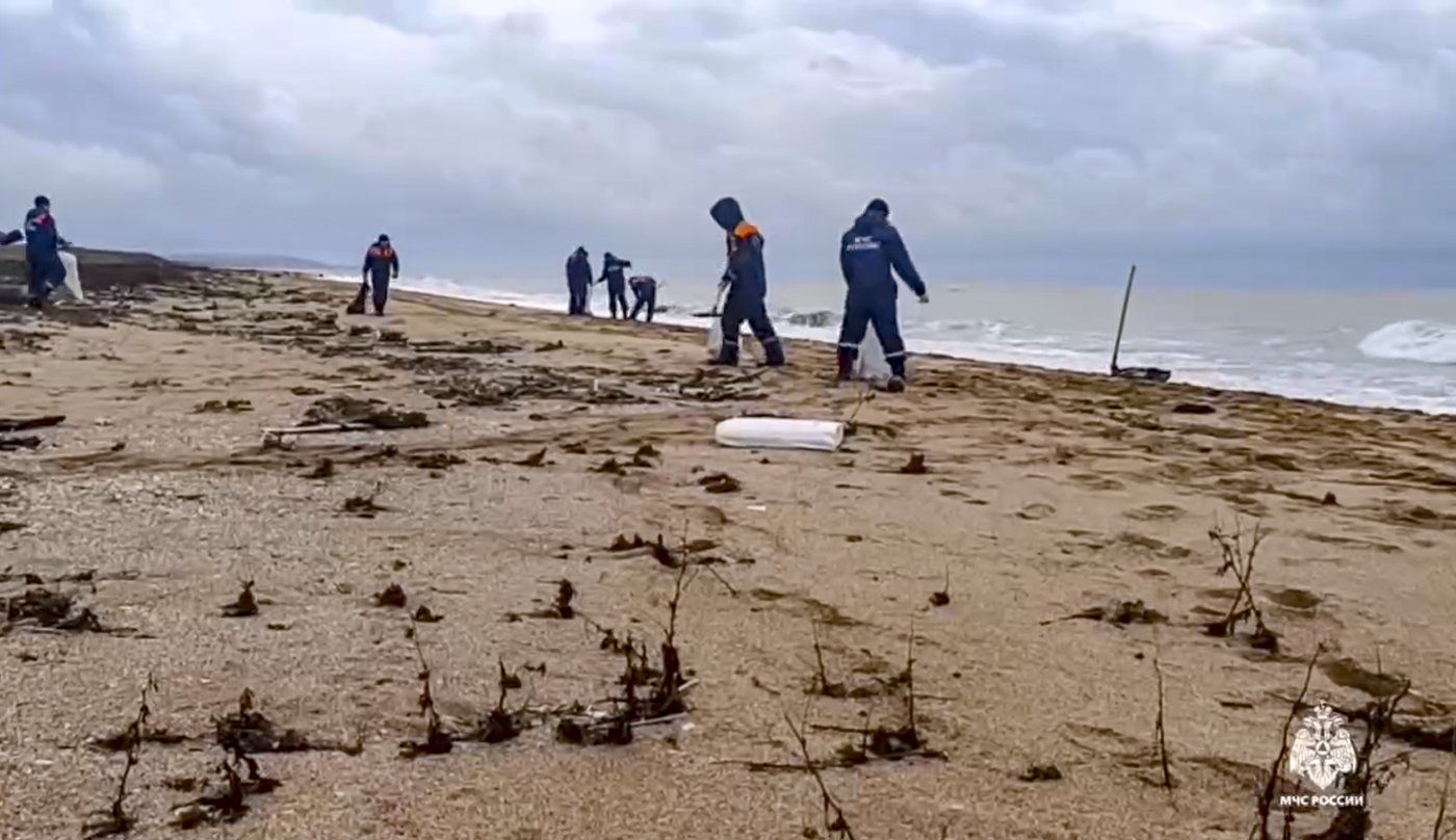 More than 30 dolphins have died since an oil spill in Russia, experts say | iNFOnews.ca More than 30 dolphins have died since an oil spill in Russia, experts say | iNFOnews.ca