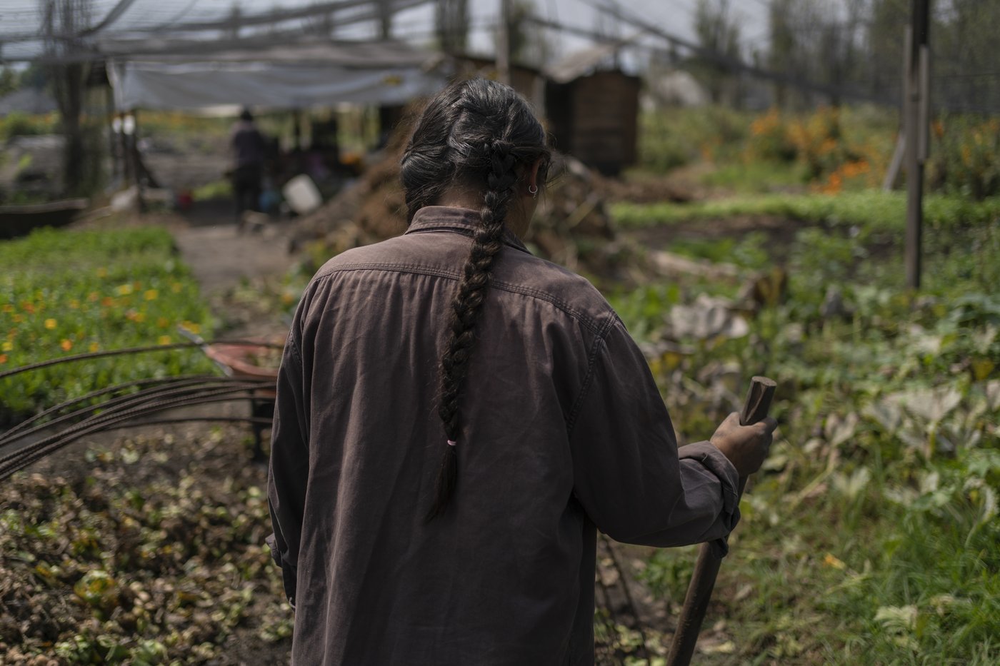 Mexico City’s floating gardens have fed people for hundreds of years. Now they’re threatened | iNFOnews.ca