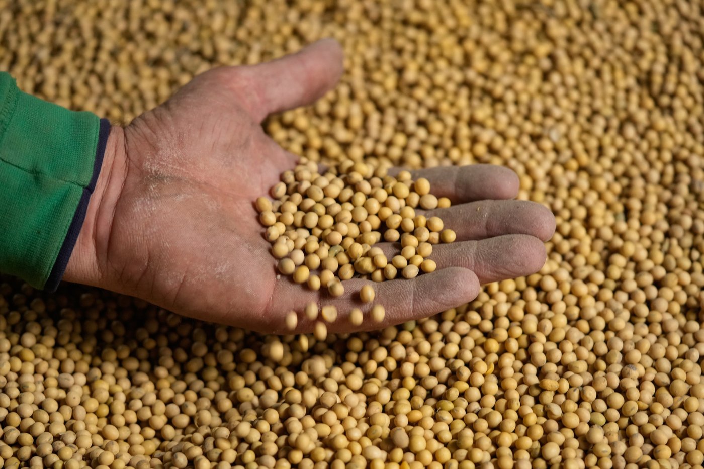 Takeaways from AP and Lee's report on how soybean farmers were impacted by tariffs, Iran war | iNFOnews.ca
