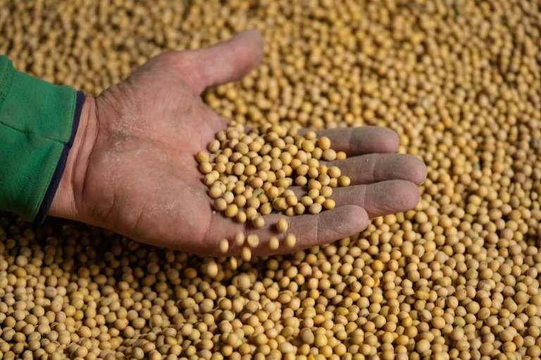 Takeaways from AP and Lee's report on how soybean farmers were impacted by tariffs, Iran war | iNFOnews.ca