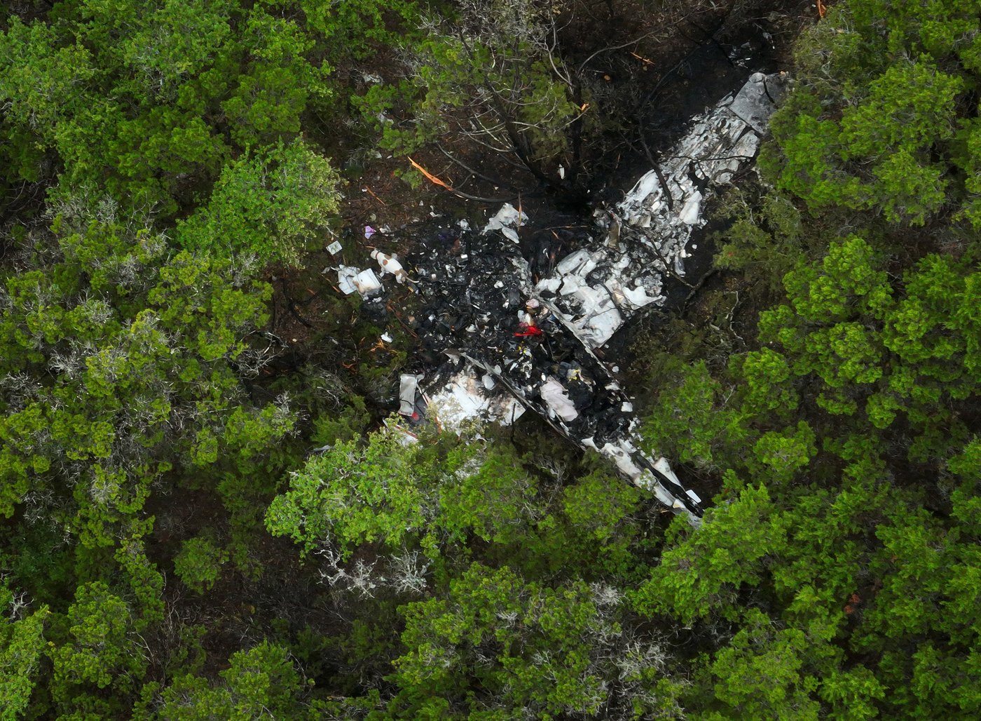 Pickleball players killed in Texas plane crash included a school tennis star, trauma counselor | iNFOnews.ca Pickleball players killed in Texas plane crash included a school tennis star, trauma counselor | iNFOnews.ca