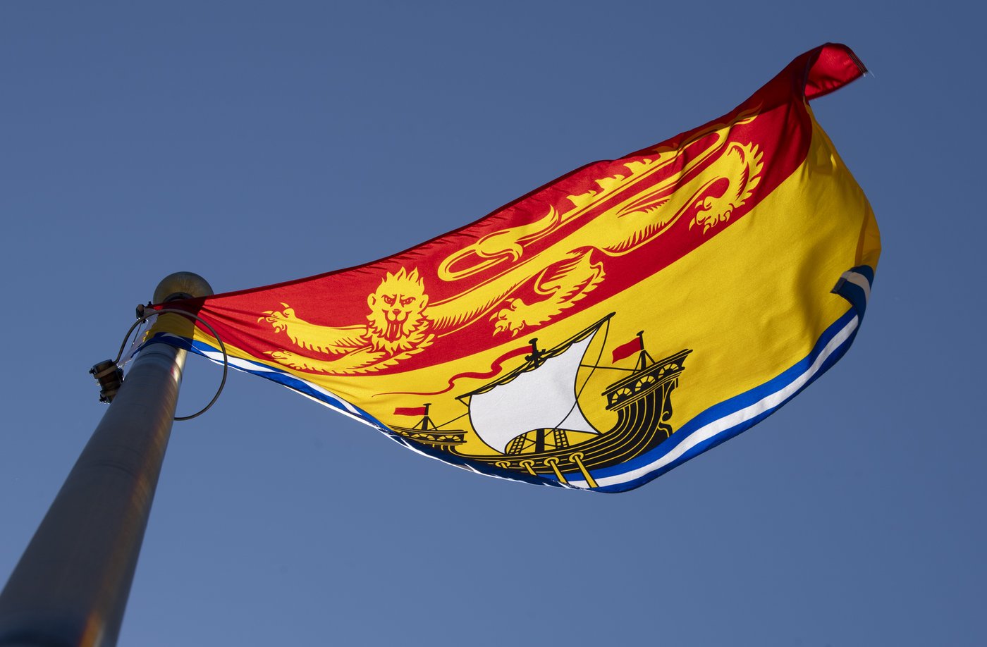 In the news today: Hantavirus testing, Census surveys due, Habs face Sabres tonight | iNFOnews.ca In the news today: Hantavirus testing, Census surveys due, Habs face Sabres tonight | iNFOnews.ca