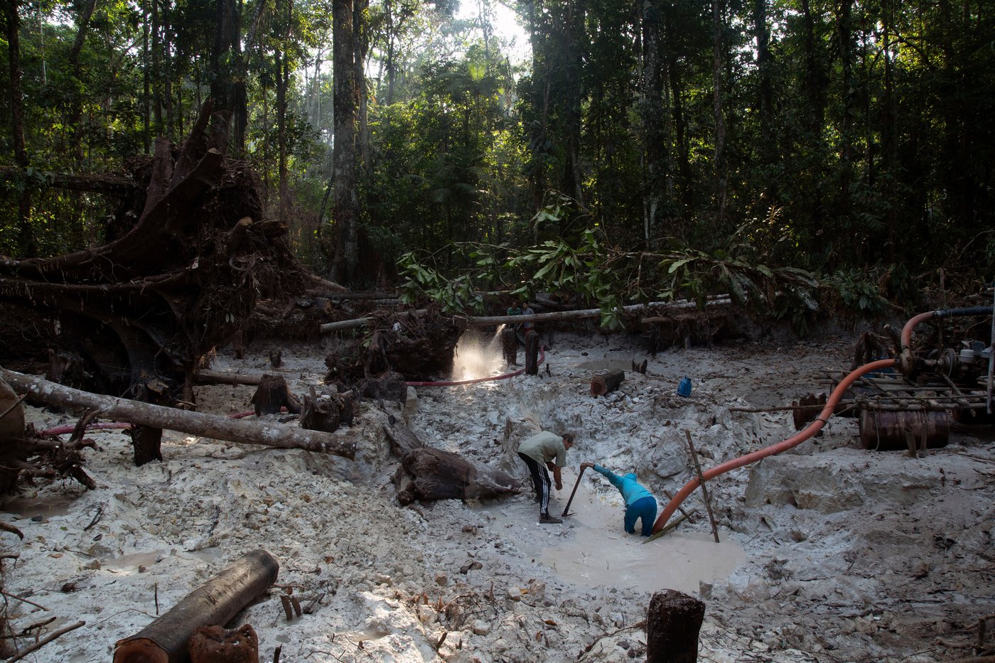Interpol-led crackdown on environmental crime leads to 225 arrests in Latin America | iNFOnews.ca Interpol-led crackdown on environmental crime leads to 225 arrests in Latin America | iNFOnews.ca