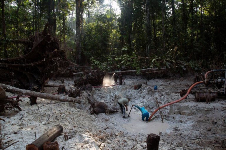 Interpol-led crackdown on environmental crime leads to 225 arrests in Latin America | iNFOnews.ca