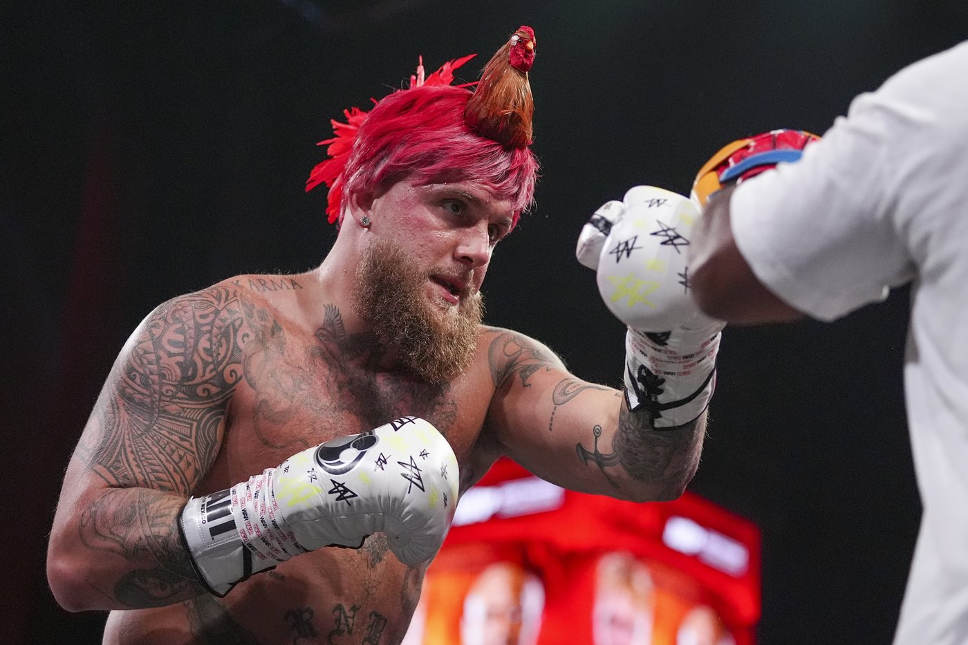 Jake Paul punches back at Canelo Alvarez, calling him a 'money-hungry squirrel' | iNFOnews.ca Jake Paul punches back at Canelo Alvarez, calling him a 'money-hungry squirrel' | iNFOnews.ca