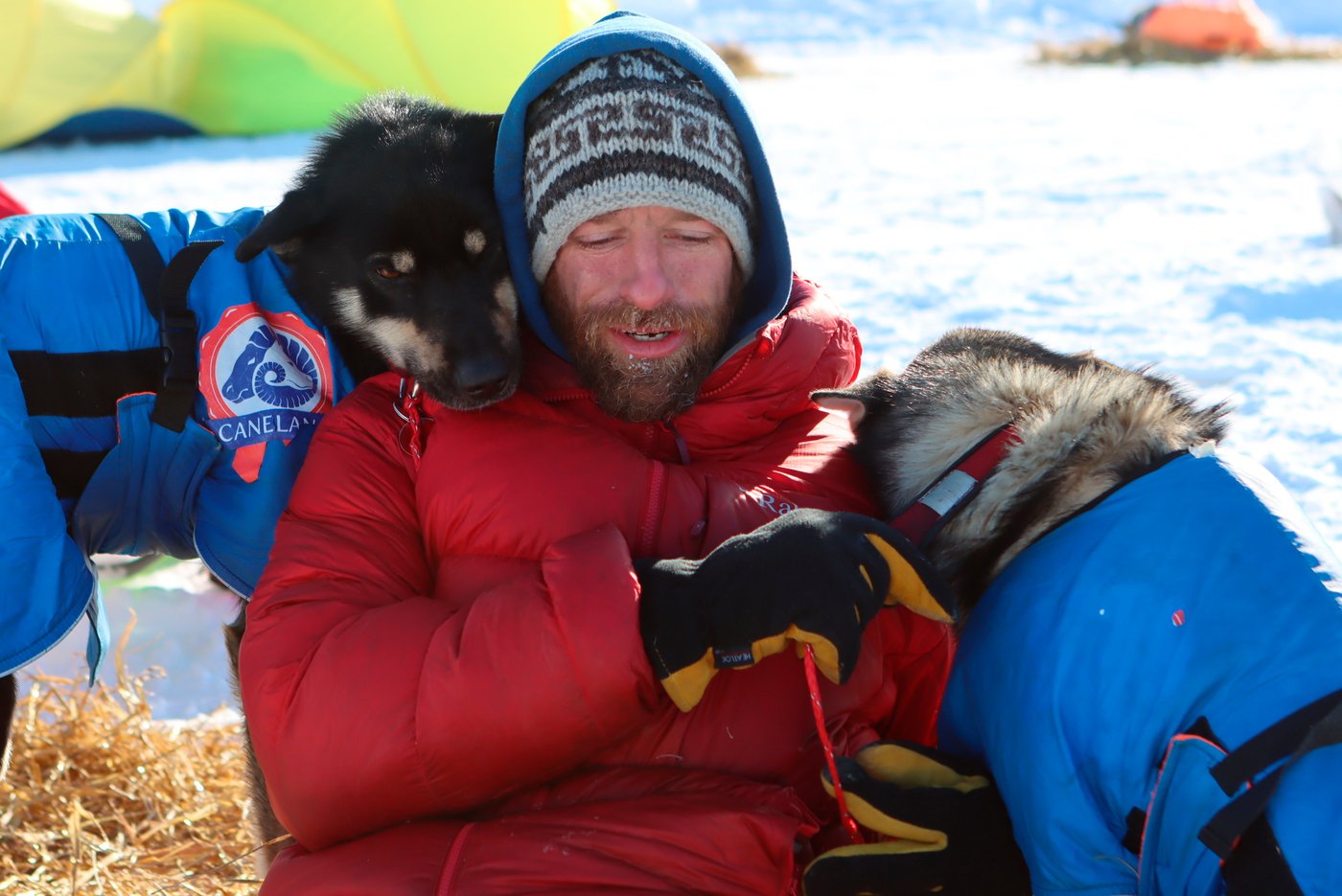 After training in deep snow and bitter cold, ex-reality show star seeks to win the Iditarod again | iNFOnews.ca After training in deep snow and bitter cold, ex-reality show star seeks to win the Iditarod again | iNFOnews.ca