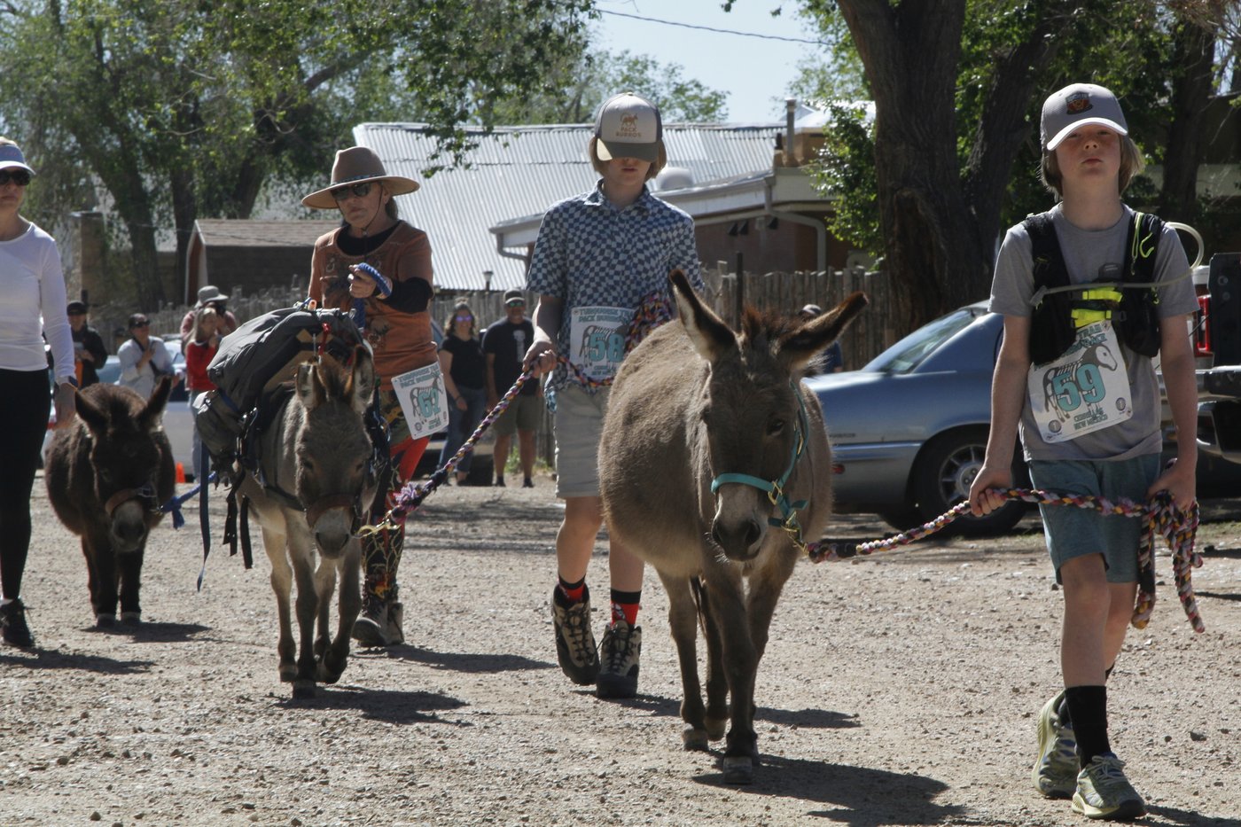 Burro racing wins over runners in backcountry ode to mining history | iNFOnews.ca Burro racing wins over runners in backcountry ode to mining history | iNFOnews.ca