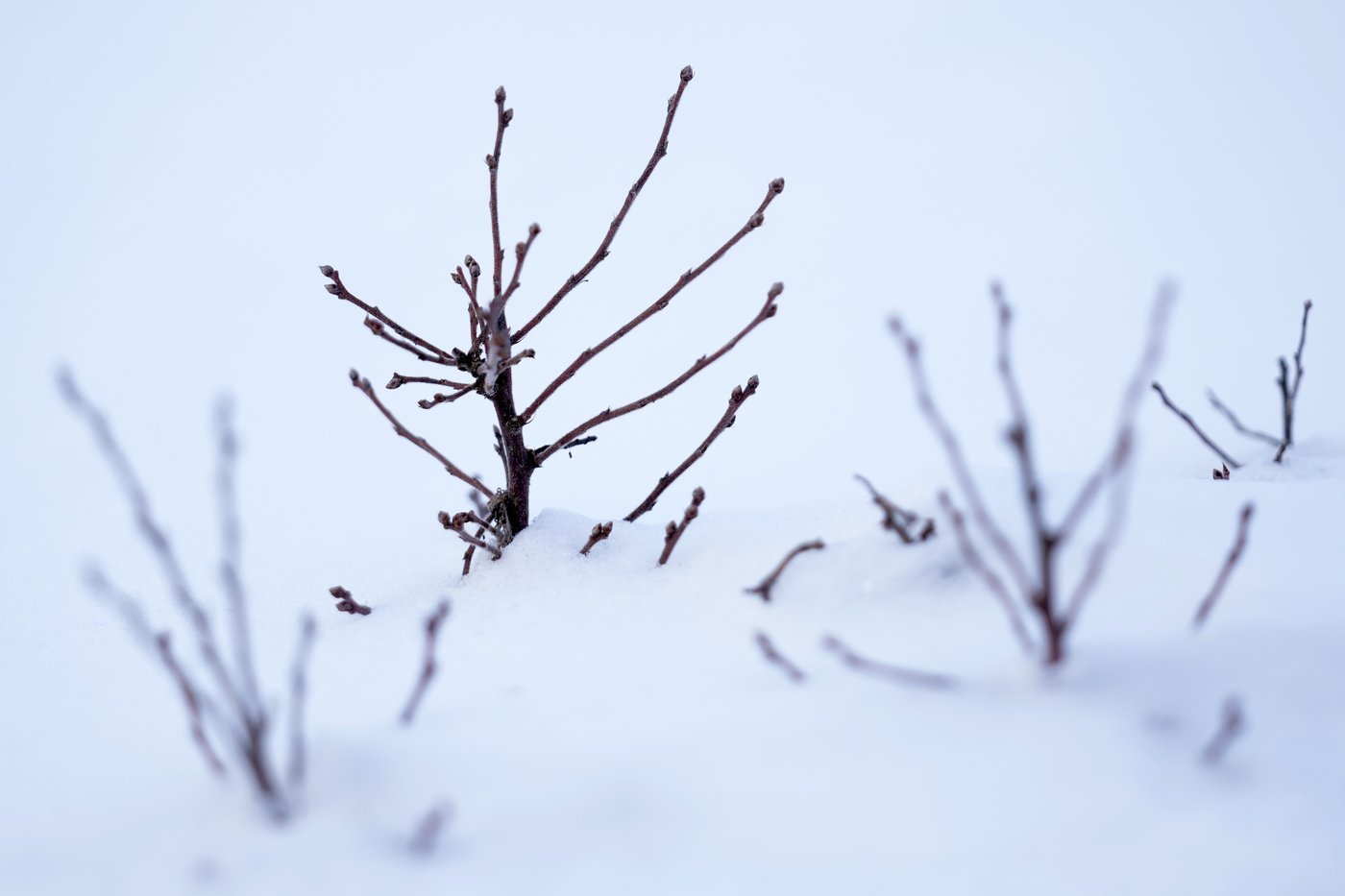 Farmers and rural businesses shelled out money for improvements. Will their promised rebates arrive? | iNFOnews.ca Farmers and rural businesses shelled out money for improvements. Will their promised rebates arrive? | iNFOnews.ca