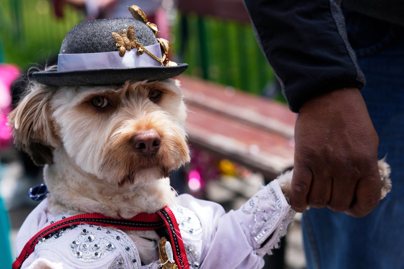 Carnival, Ash Wednesday and other top photos from Latin America and the Caribbean | iNFOnews.ca