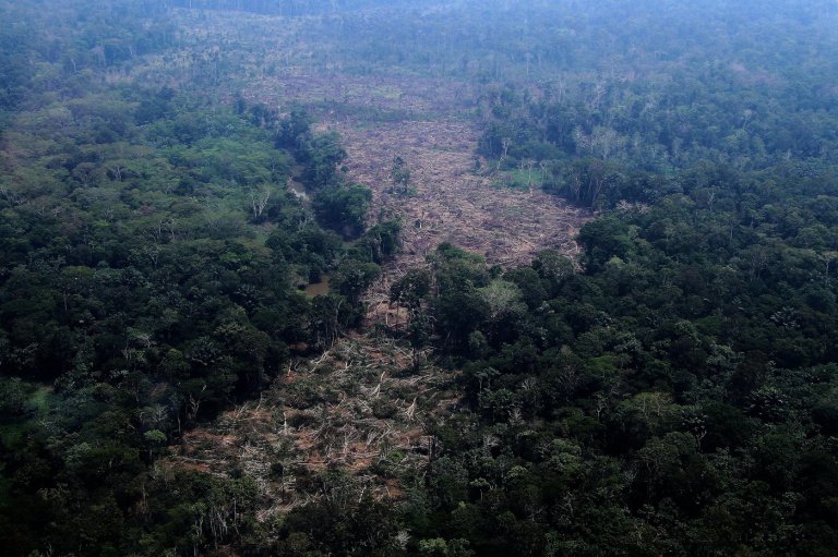 How close is the Amazon to a 'tipping point?' Brazil’s election could help shape its future | iNFOnews.ca