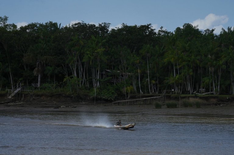Railway project in the Amazon raises questions over Brazil's efforts to stop deforestation | iNFOnews.ca