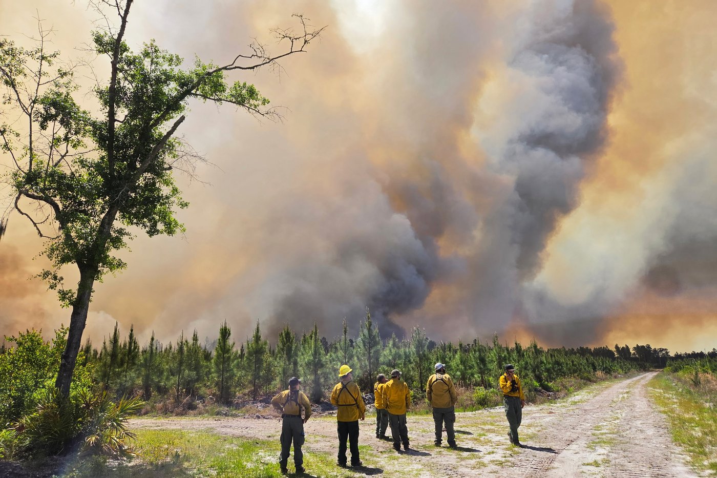Wildfires across Georgia and Florida destroy more than 50 homes and force evacuations | iNhome Wildfires across Georgia and Florida destroy more than 50 homes and force evacuations | iNhome