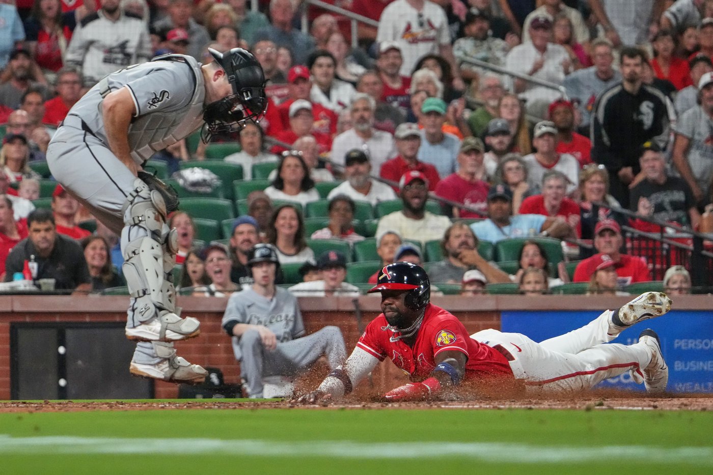 Rookies Báez and Bernal lead Cardinals to 7-3 win over White Sox | iNFOnews.ca Rookies Báez and Bernal lead Cardinals to 7-3 win over White Sox | iNFOnews.ca