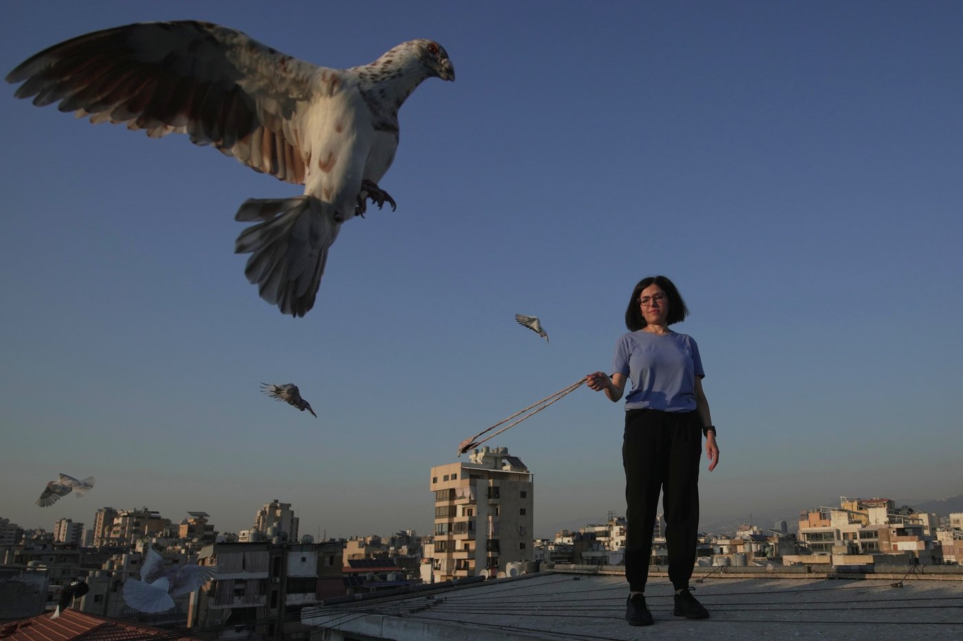 Photos of a Beirut woman's rooftop sanctuary for pigeons | iNFOnews.ca