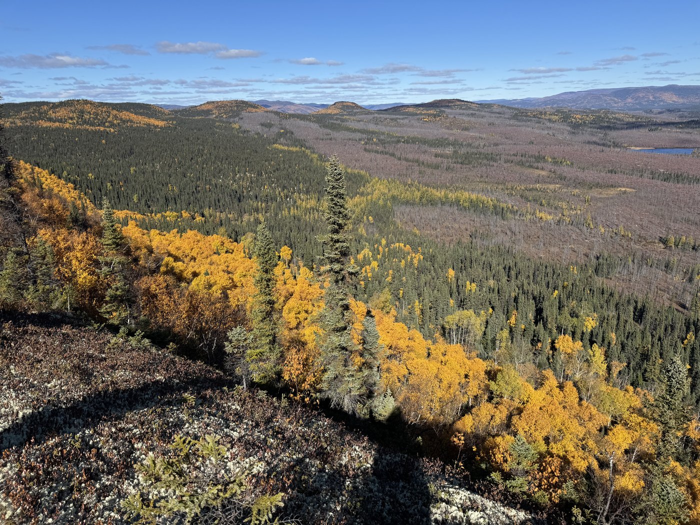 Pit found by Quebecer confirmed to be a 390-million-years-old meteorite impact crater | iNFOnews.ca