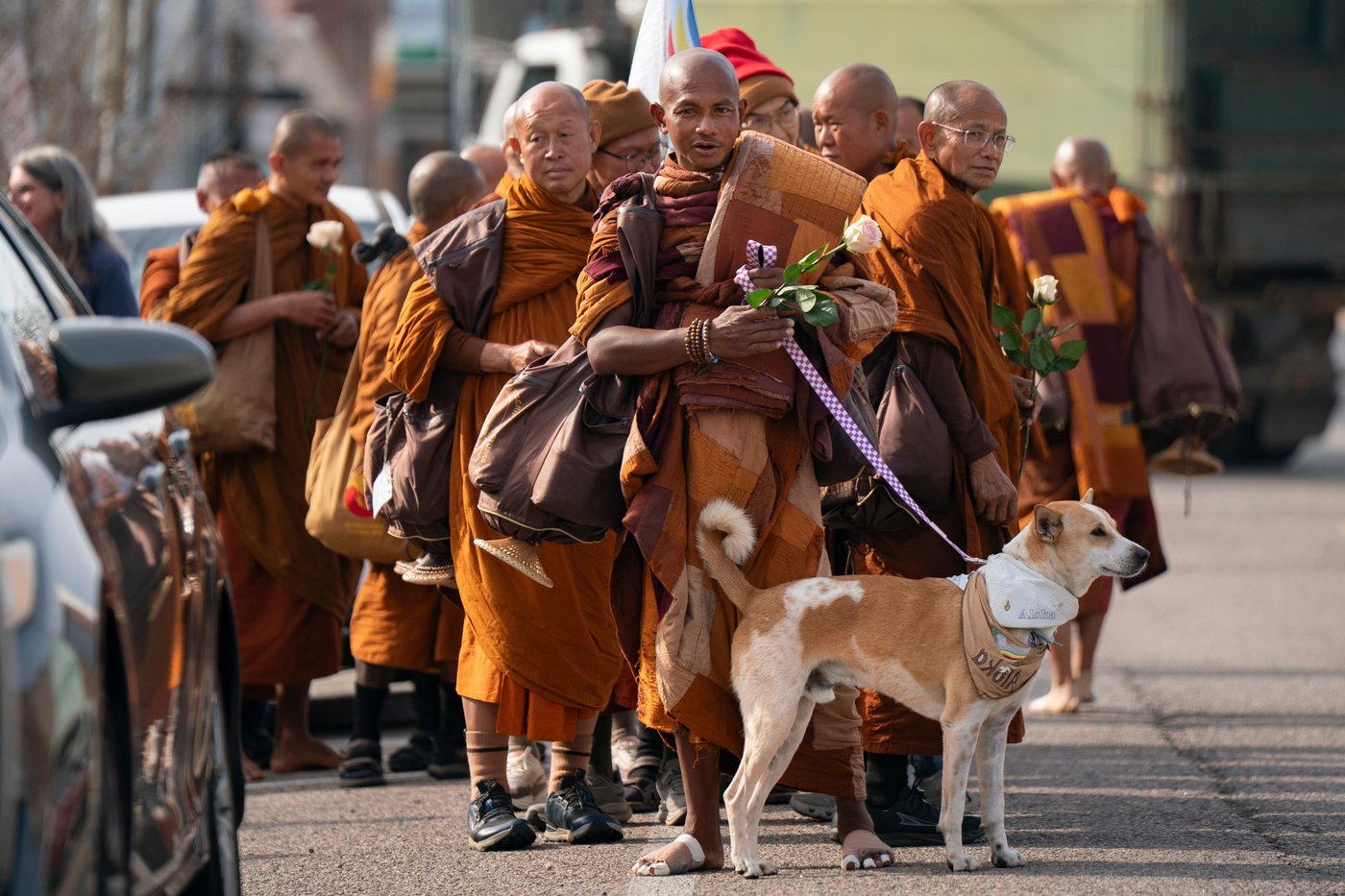 Buddhist monks and their dog captivate Americans while walking for peace | iNFOnews.ca