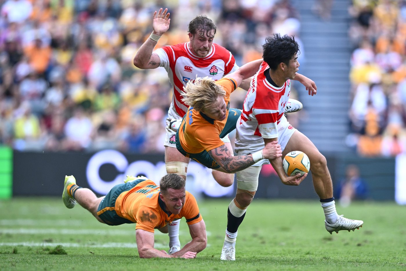 De Lutiis marks 1,000th Wallabies cap with a try as Australia routs Japan 56-17 | iNFOnews.ca De Lutiis marks 1,000th Wallabies cap with a try as Australia routs Japan 56-17 | iNFOnews.ca