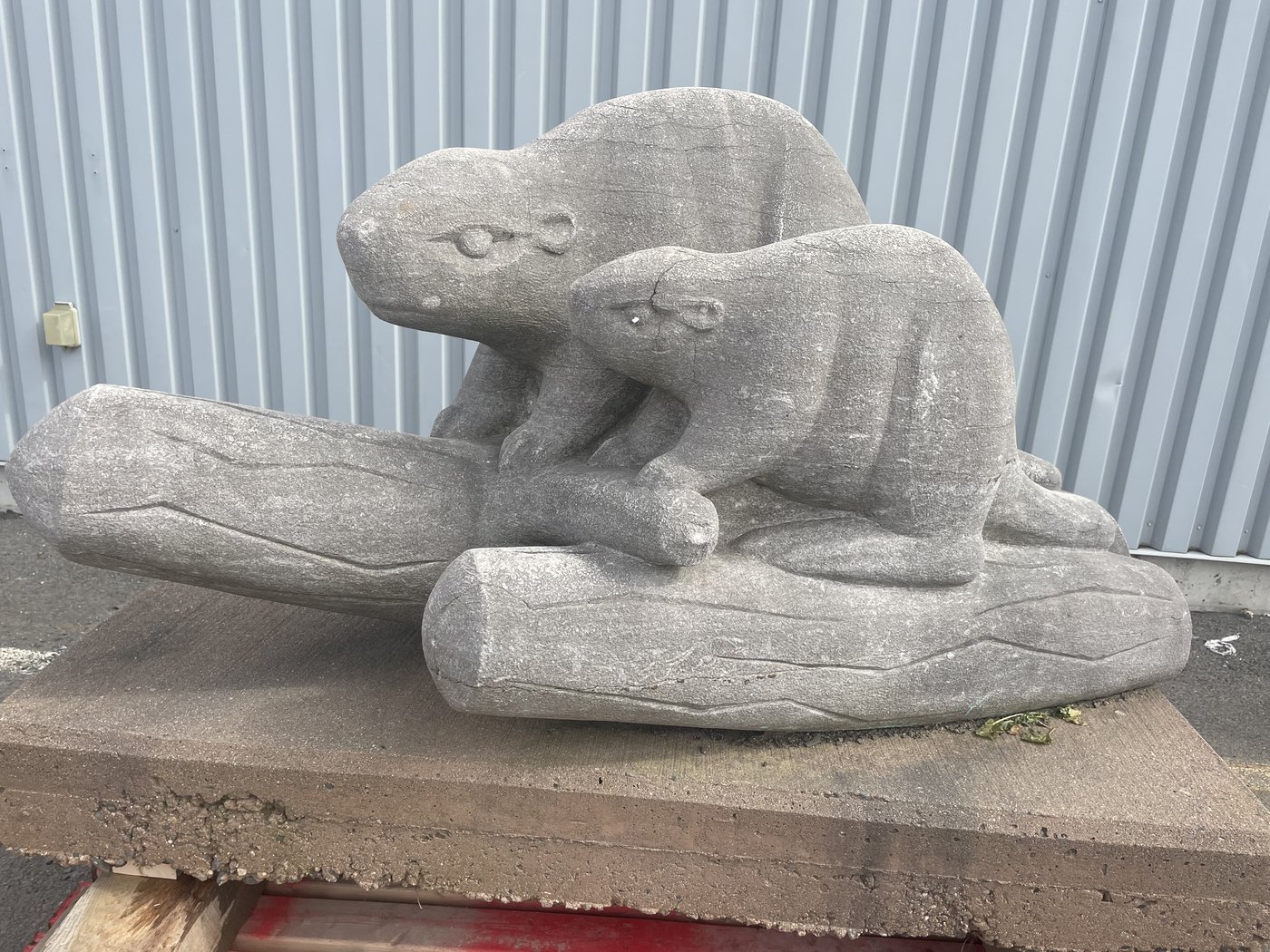 Famous Fredericton beaver sculpture finds new home in downtown art gallery | iNFOnews.ca