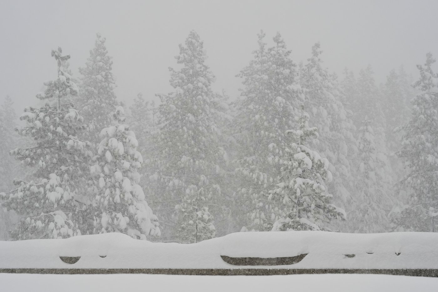 Snow drought helped set the stage for deadly California avalanche, leading to unstable conditions | iNFOnews.ca