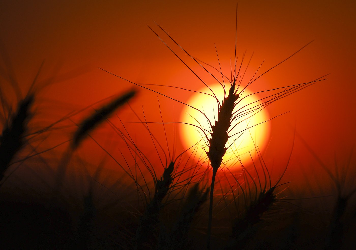 Drought deepens in Eastern Canada as West sees some improvement: monitor | iNFOnews.ca