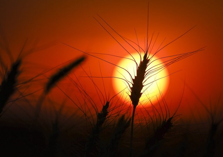 Drought deepens in Eastern Canada as West sees some improvement: monitor | iNFOnews.ca