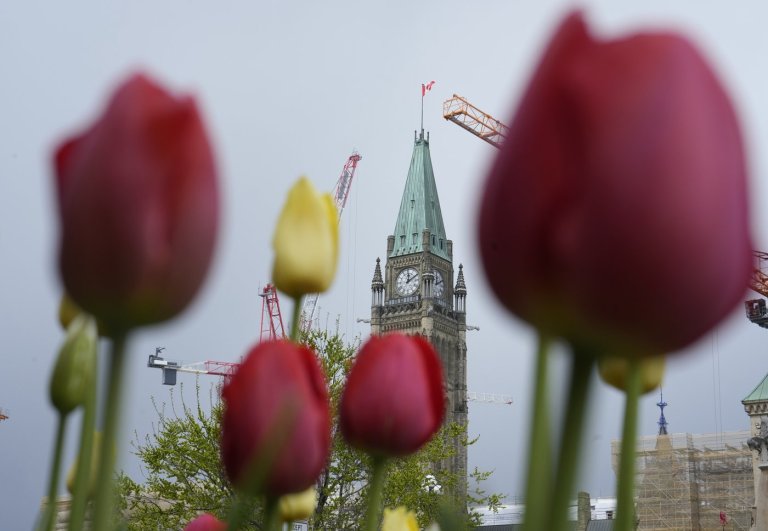 Border law to face constitutional challenge over new refugee claim rules | iNFOnews.ca
