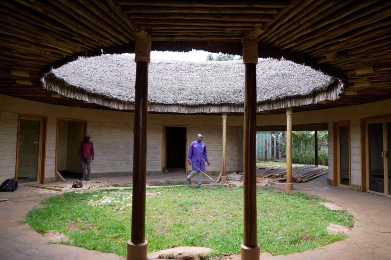 A mushroom farm in Kenya and fungi-based panels give hope for sustainable building | iNFOnews.ca