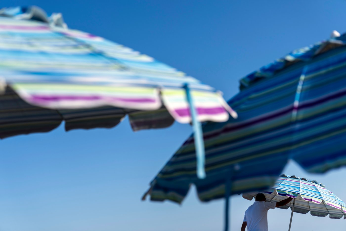 Most sunscreens harm corals. Here's what you can do | iNFOnews.ca