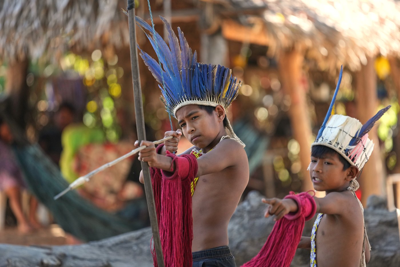 A conflict over cattle in Brazil's Amazon highlights tensions for Indigenous peoples | iNFOnews.ca A conflict over cattle in Brazil's Amazon highlights tensions for Indigenous peoples | iNFOnews.ca
