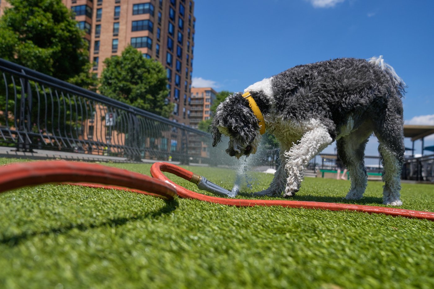 Eastern US sweats through another hot day before rain, cold move in | iNFOnews.ca Eastern US sweats through another hot day before rain, cold move in | iNFOnews.ca