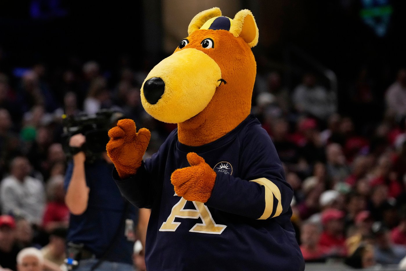Akron fan’s dream OC debut ends in heartbreak after 4 plays and a costly fumble | iNFOnews.ca Akron fan’s dream OC debut ends in heartbreak after 4 plays and a costly fumble | iNFOnews.ca