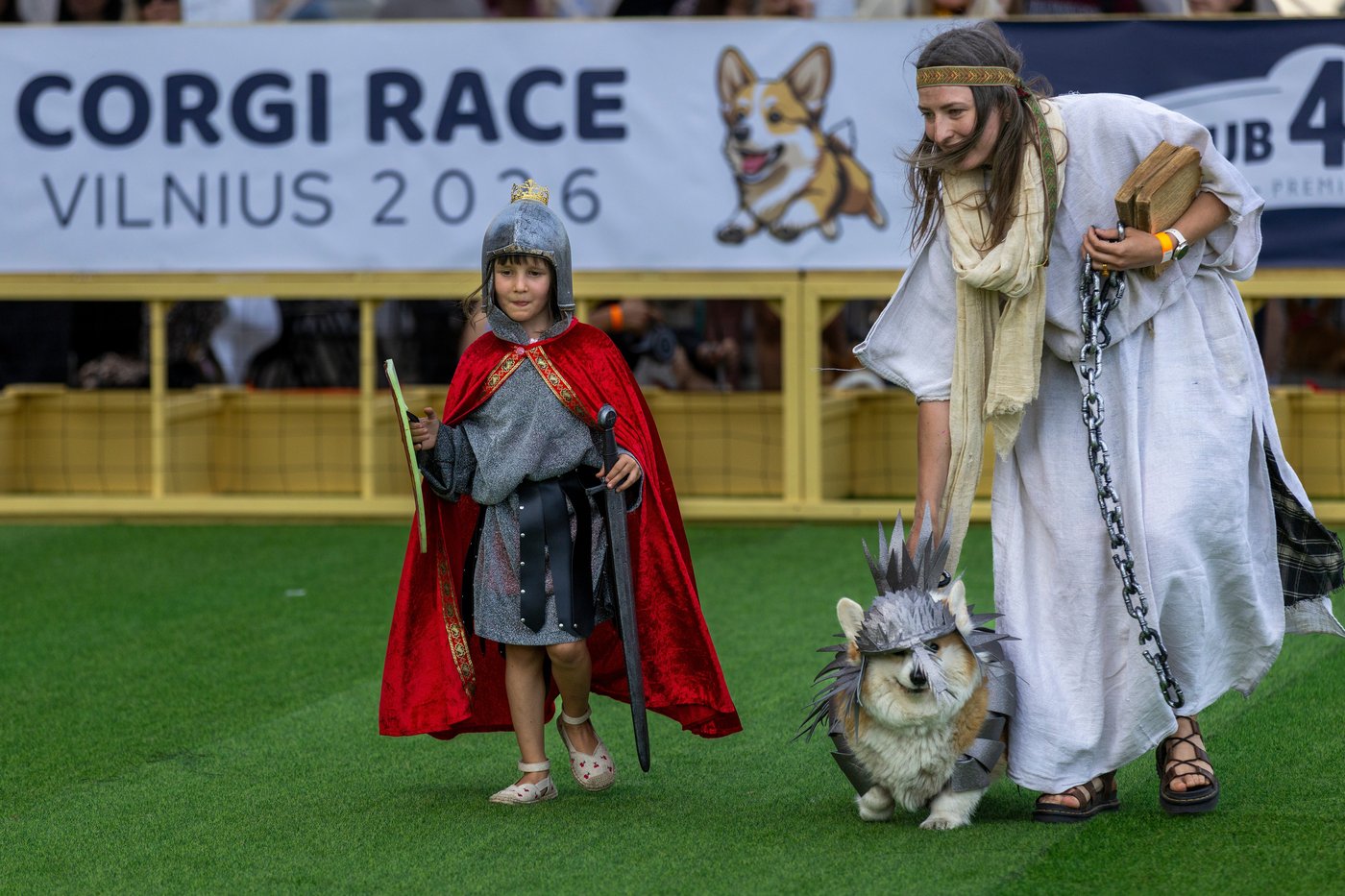Corgis run, bark and sniff their way to glory at a growing international race | iNFOnews.ca