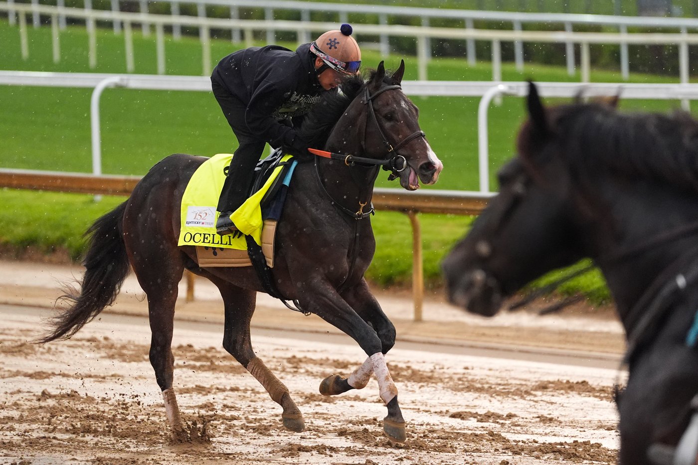 Photos show pre-race workouts ahead of the Kentucky Derby | iNFOnews.ca