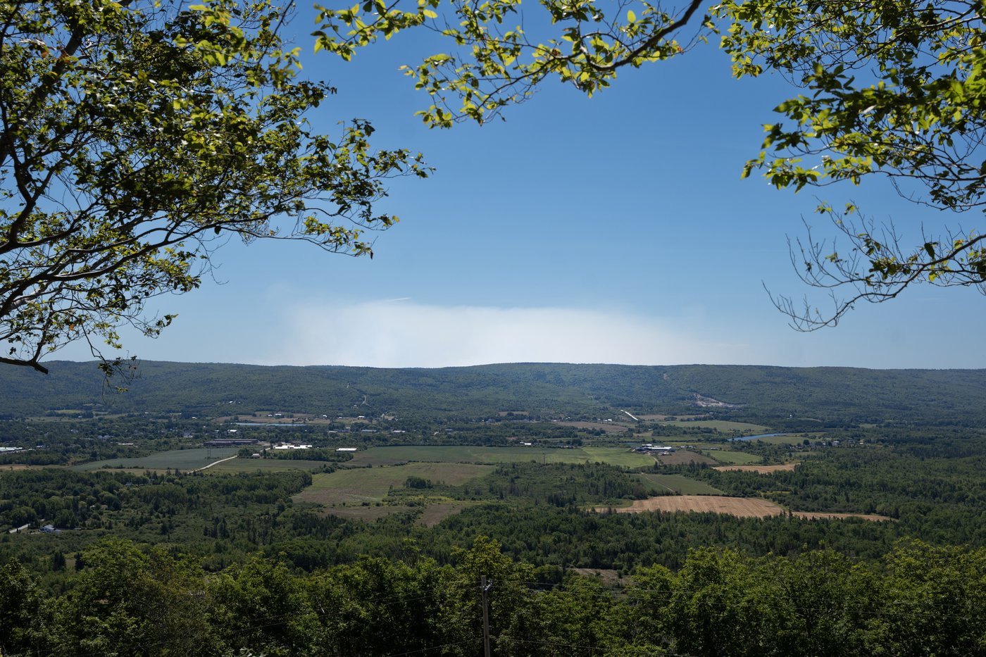 Nova Scotia's provincewide ban on entering the woods was unreasonable, court rules | iNFOnews.ca Nova Scotia's provincewide ban on entering the woods was unreasonable, court rules | iNFOnews.ca