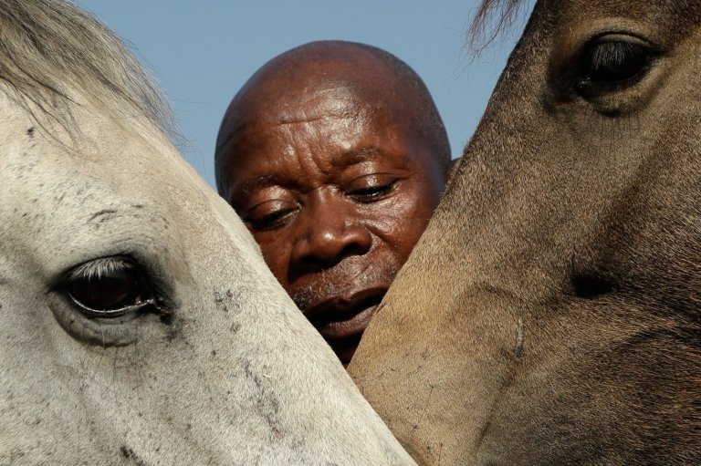 Enos Mafokate, South Africa’s first Black show jumping champion, dies at 80 | iNFOnews.ca