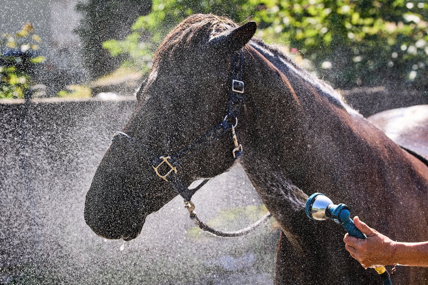 An early heat wave hits Europe, in photos | iNFOnews.ca