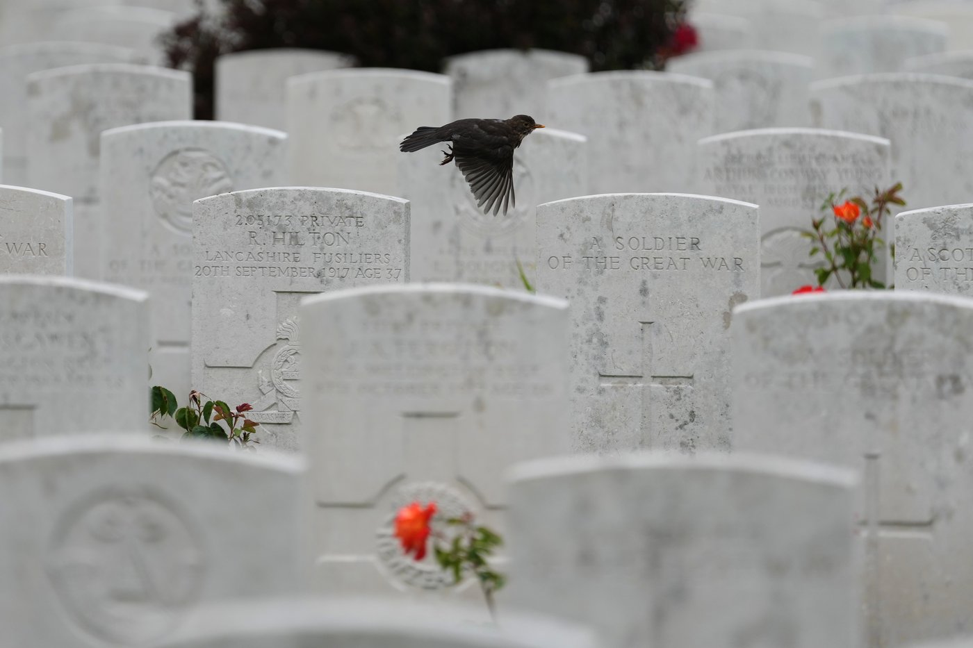The top photos of the week by AP photojournalists | iNFOnews.ca