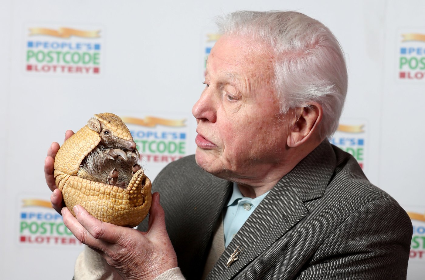David Attenborough, the excited but hushed voice of nature programs, turns 100 | iNFOnews.ca