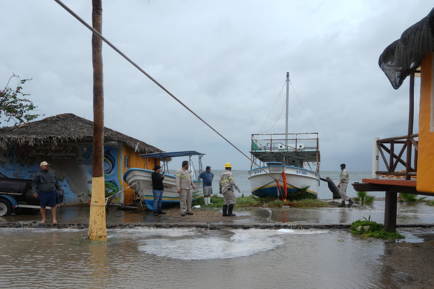 Hurricane Polo makes landfall in Baja California, flooding coastal communities and toppling trees | iNFOnews.ca
