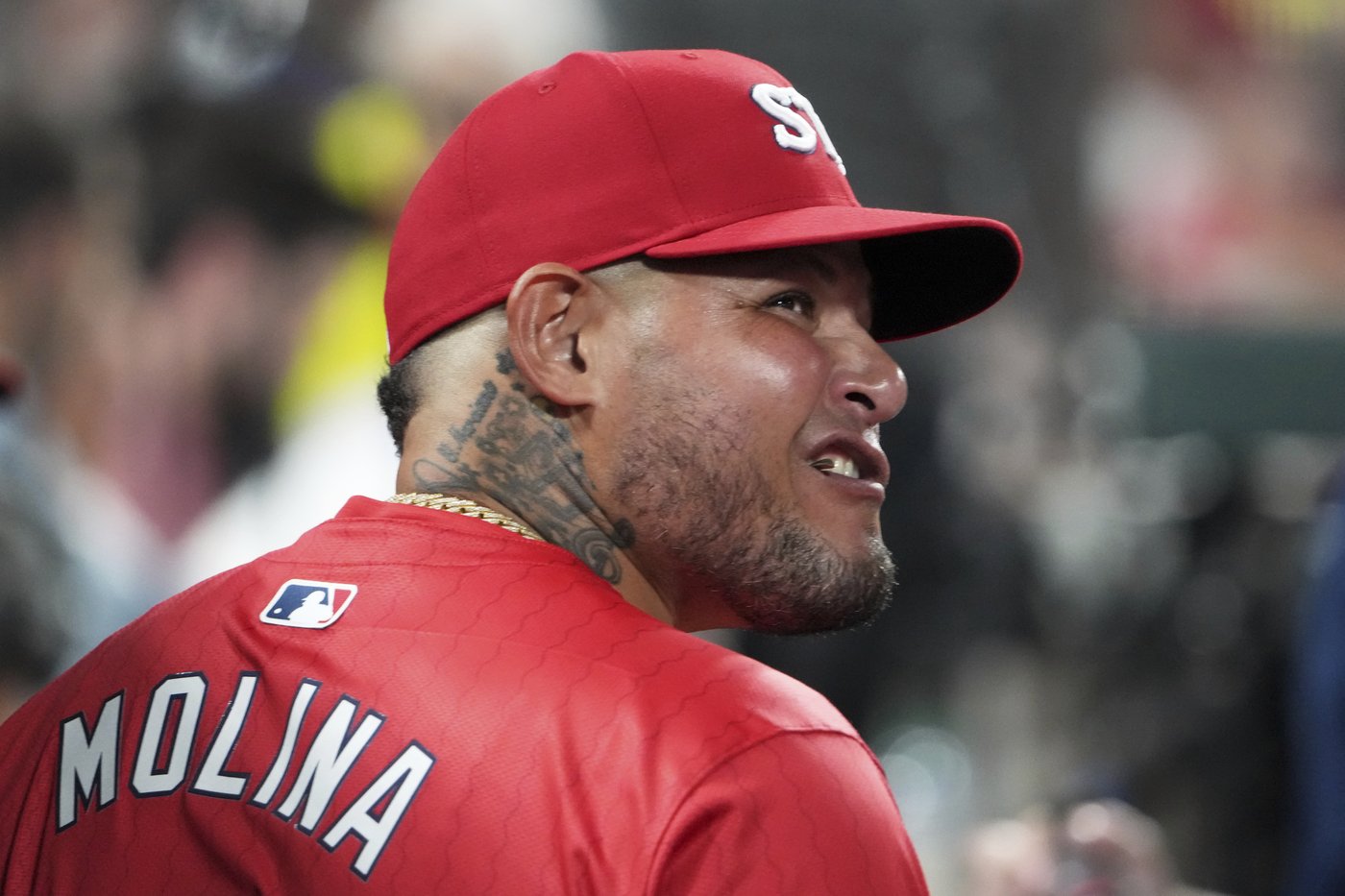 Pigs, furniture, appliances and a horse stolen from Yadier Molina property, Puerto Rican police say | iNFOnews.ca Pigs, furniture, appliances and a horse stolen from Yadier Molina property, Puerto Rican police say | iNFOnews.ca