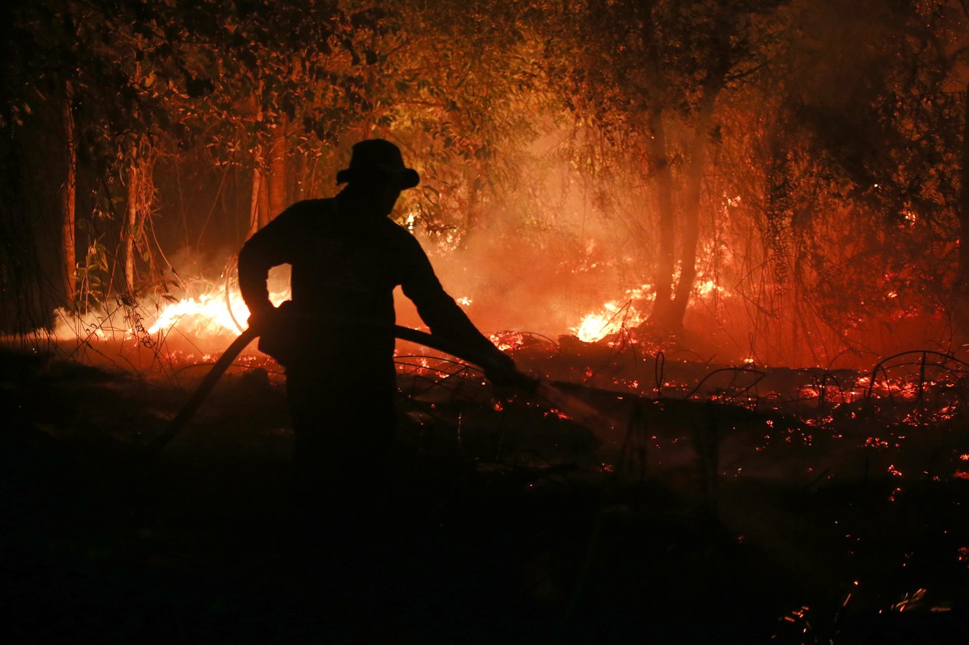This year's El Nino-driven heat could cause nearly half a million more deaths, group says | iNFOnews.ca This year's El Nino-driven heat could cause nearly half a million more deaths, group says | iNFOnews.ca