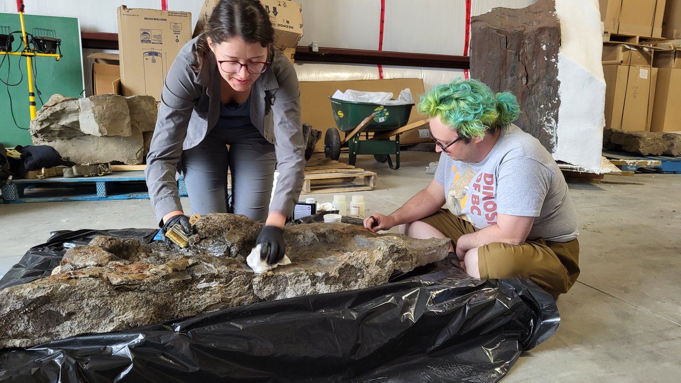 B.C. researchers confirm footprints of three-toed dinosaur with club-like tail | iNFOnews.ca