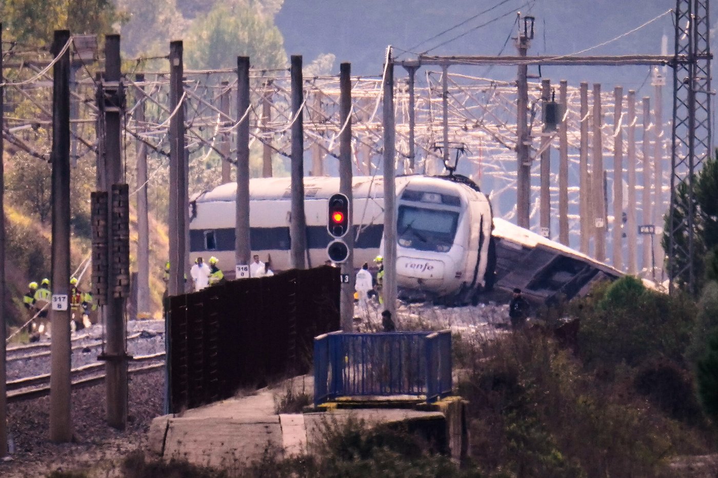 Survivor of Spain's train crash pleads for help finding her dog Boro, and social media users rally | iNFOnews.ca Survivor of Spain's train crash pleads for help finding her dog Boro, and social media users rally | iNFOnews.ca