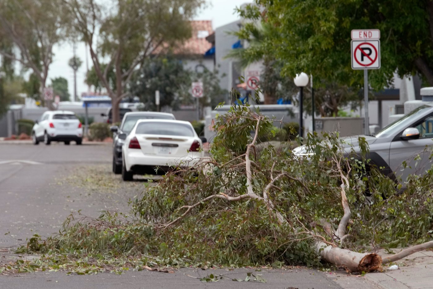 Violent Arizona storms bring possible tornado, toppled trees and golf ball-size hail | iNFOnews.ca Violent Arizona storms bring possible tornado, toppled trees and golf ball-size hail | iNFOnews.ca