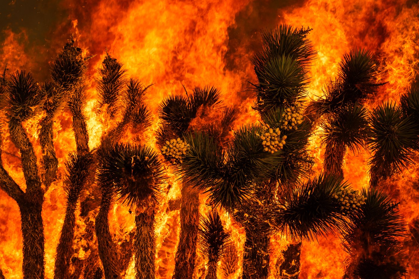 The top photos of the day by AP photojournalists | iNFOnews.ca