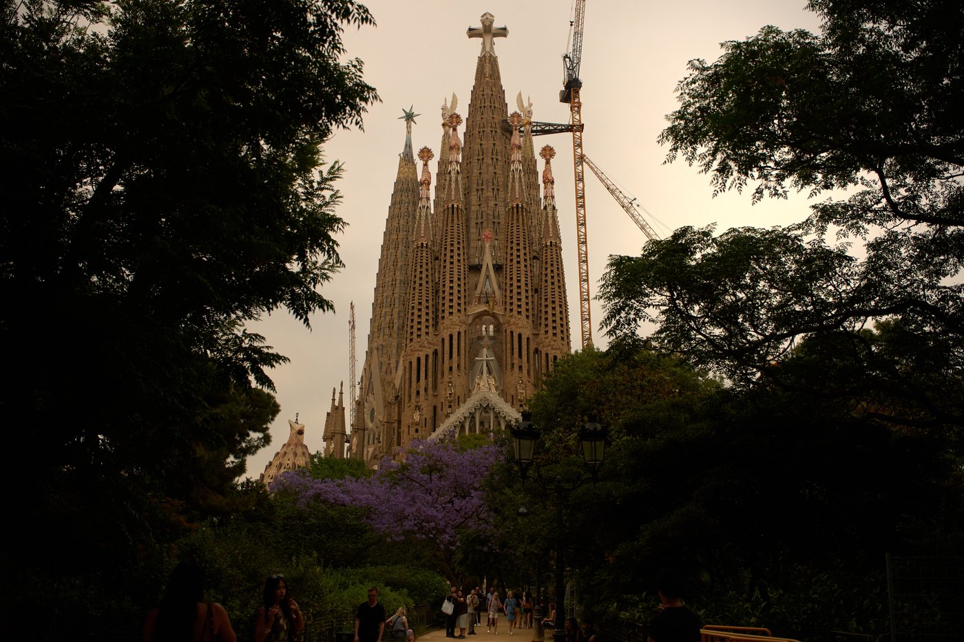 Photos of Barcelona’s Sagrada Familia as Gaudí basilica rises before Pope Leo XIV’s visit | iNFOnews.ca
