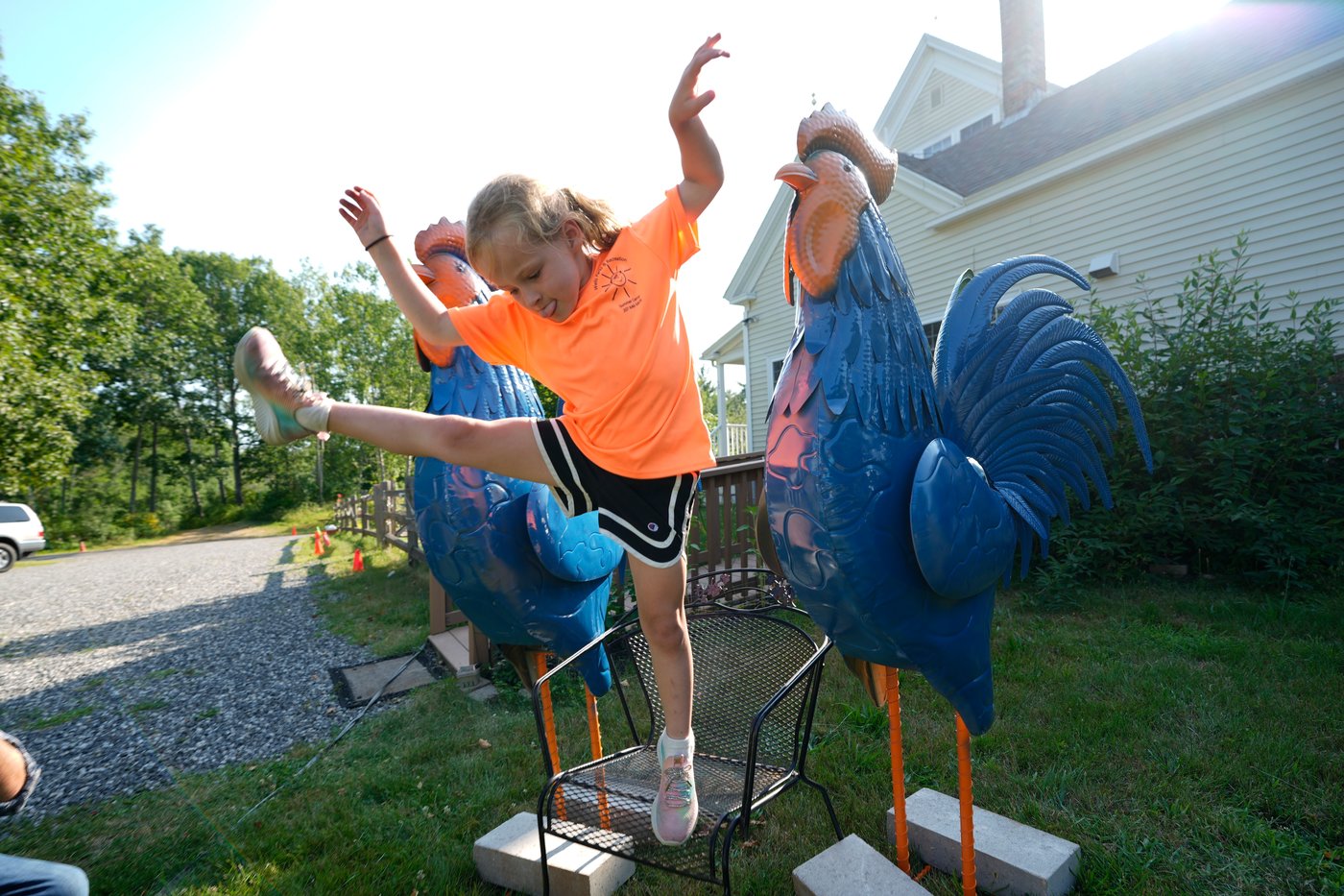 Giant metal roosters spread autism acceptance in Maine after town zoning spat | iNFOnews.ca Giant metal roosters spread autism acceptance in Maine after town zoning spat | iNFOnews.ca