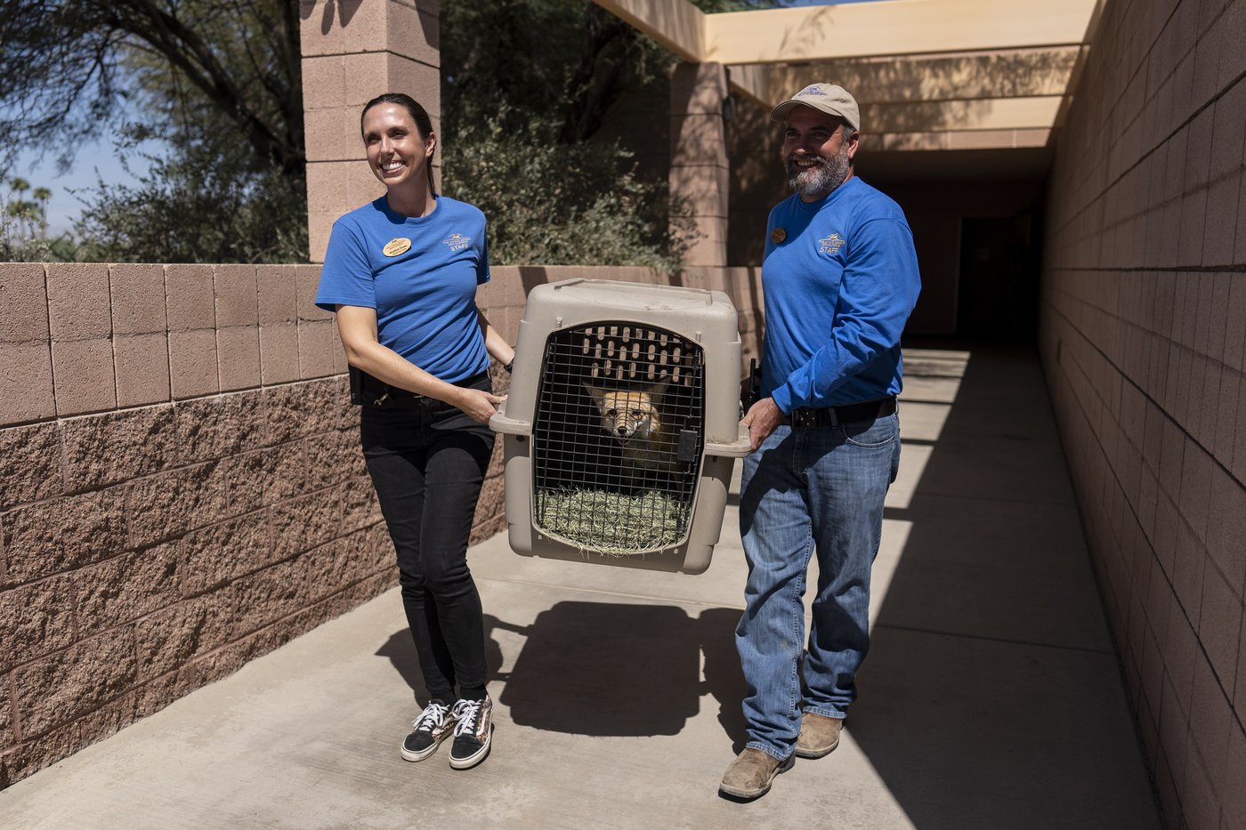As fire raged nearby, a tiny town's zoo animals were driven to safety | iNFOnews.ca